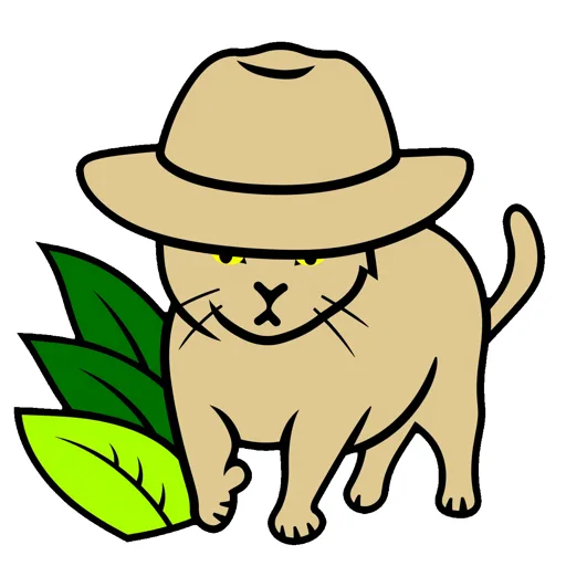 Cat Exploring Safari Hat