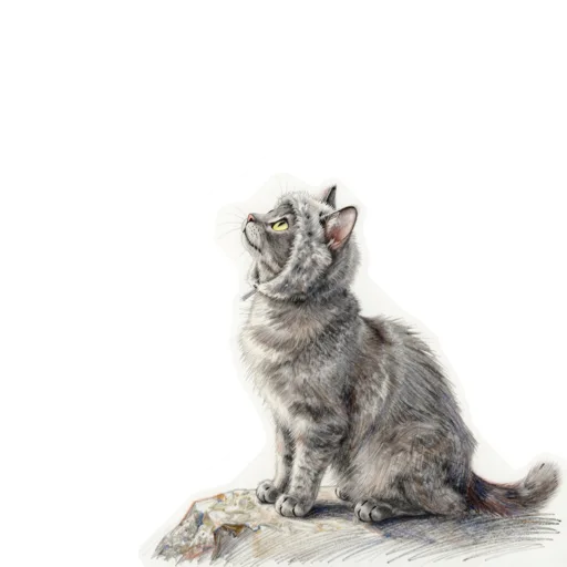 Cat Baying Wolf Hood
