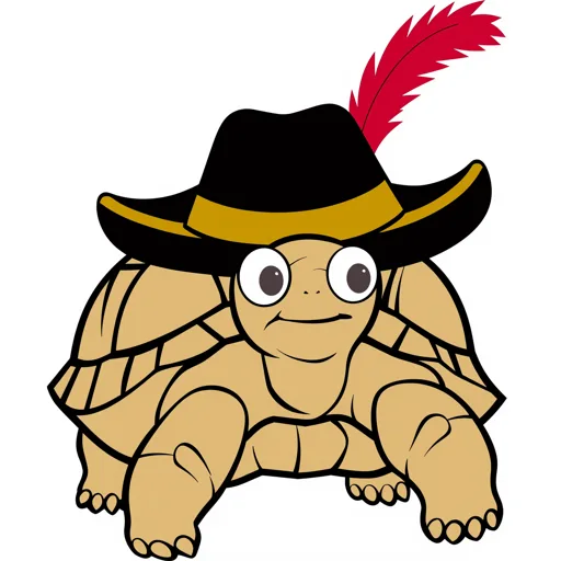 Tortoise Peeking Pirate Hat