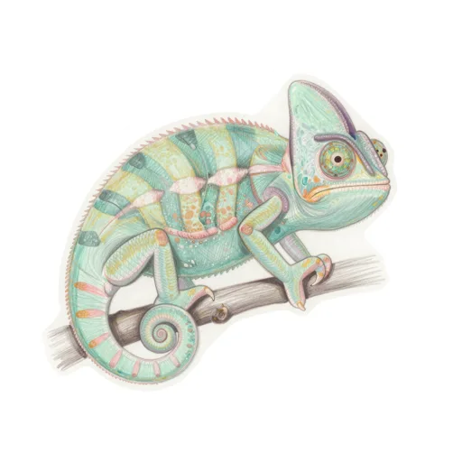 Chameleon Yoga Headband