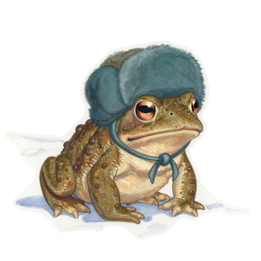 Toad Snowshoeing Ushanka